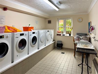 Picture 23